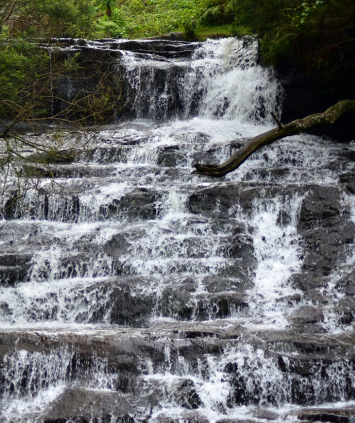 Vattakanal Falls